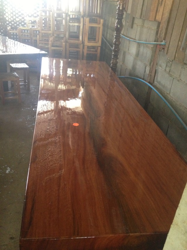 Thailand Redwood - Mai Daeng